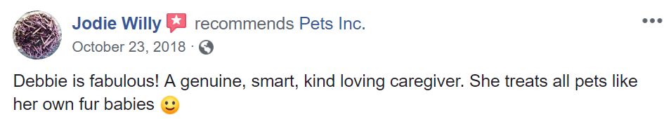Pets Inc Vancouver Cat Sitting & In Home Animal Nursing
